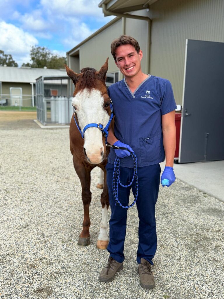 Avenel Equine Hospital