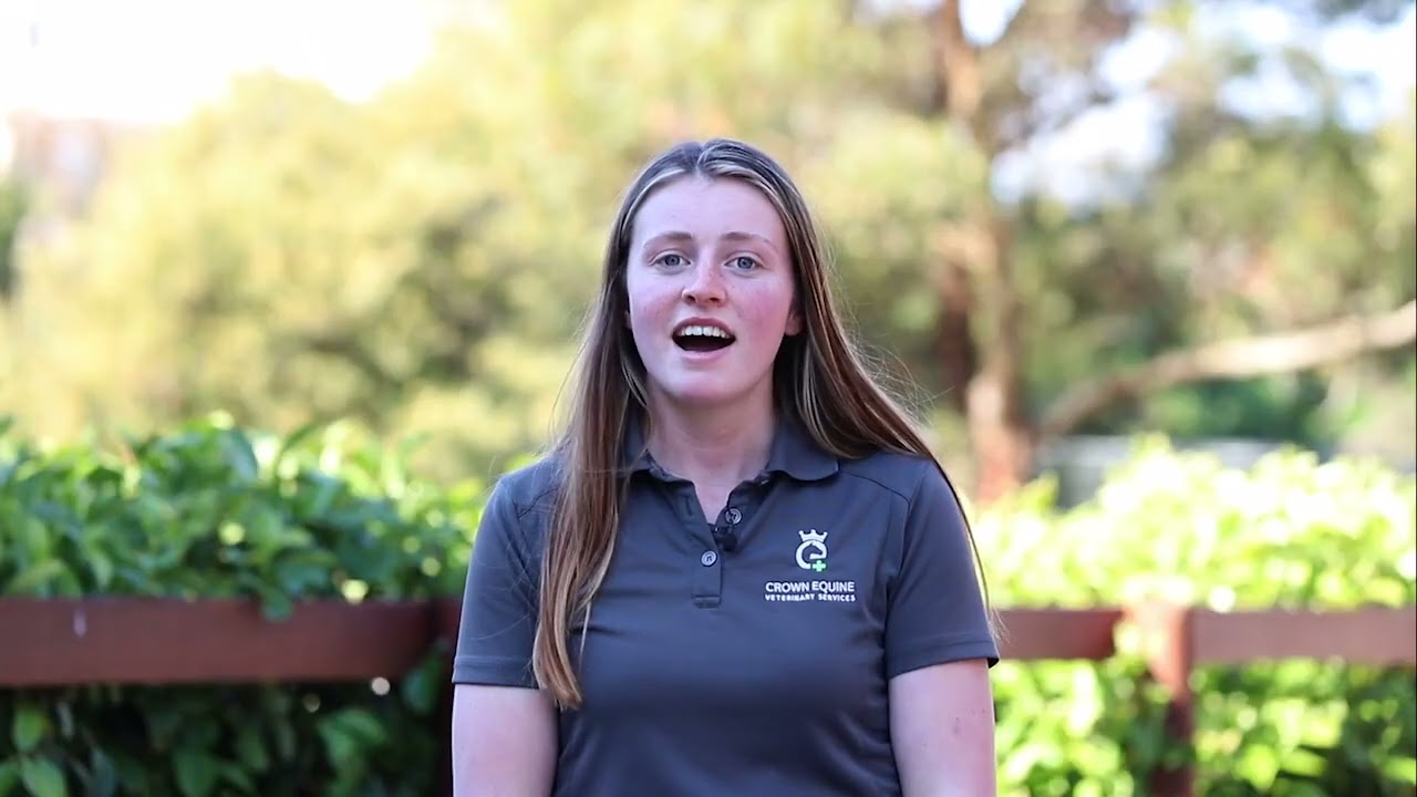 Crown Equine Veterinary Services