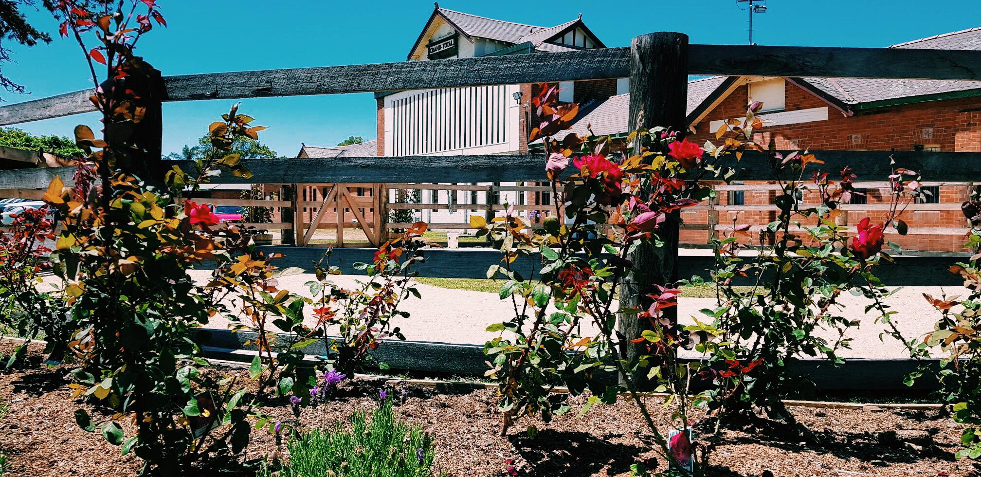 Newcastle Equine Centre