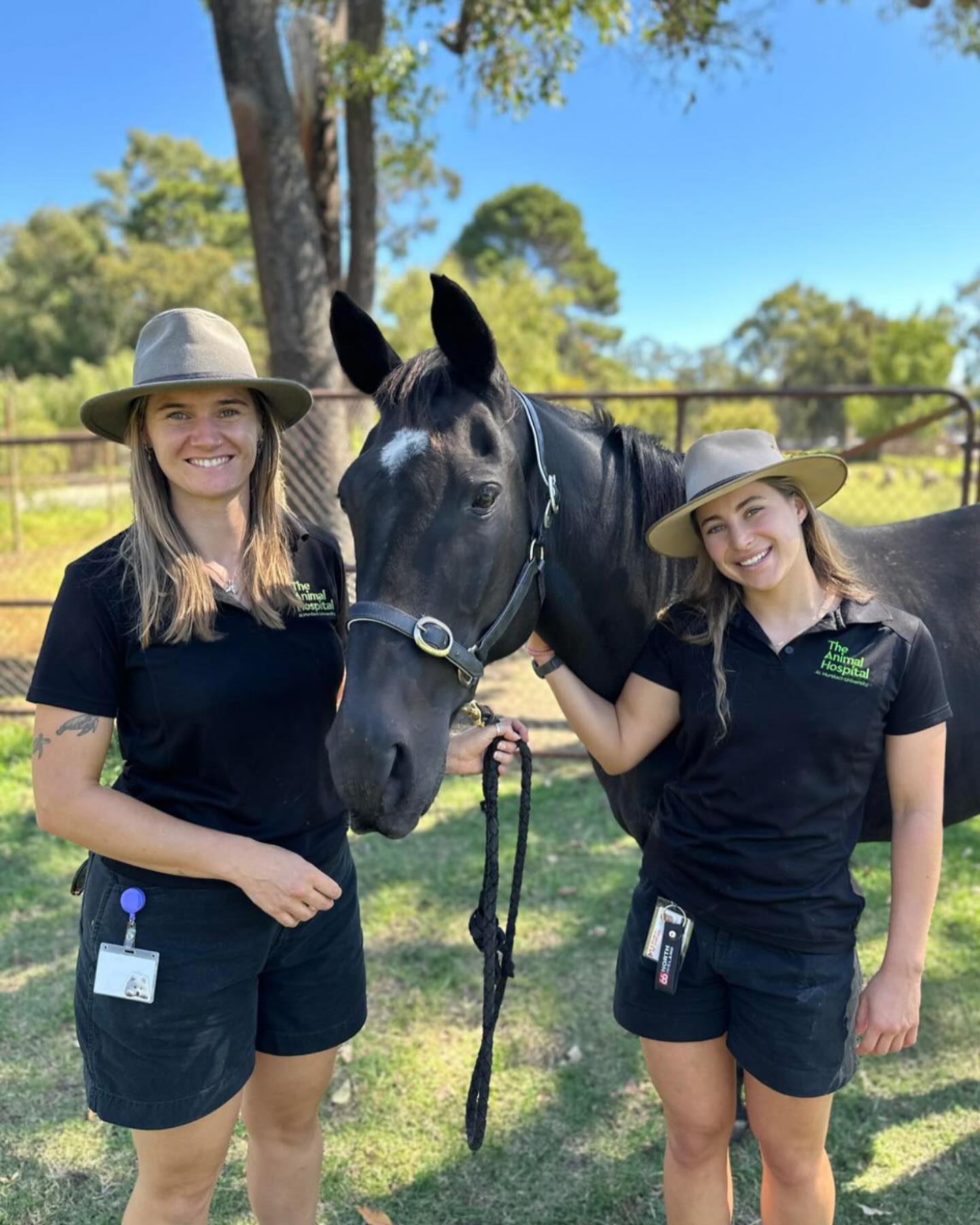 The Animal Hospital at Murdoch University