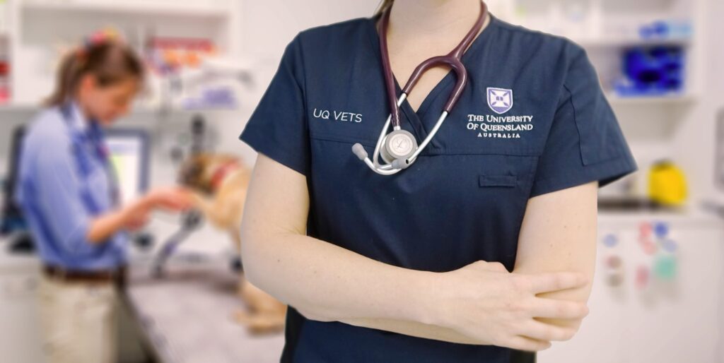 UQ VETS Equine Specialist Hospital