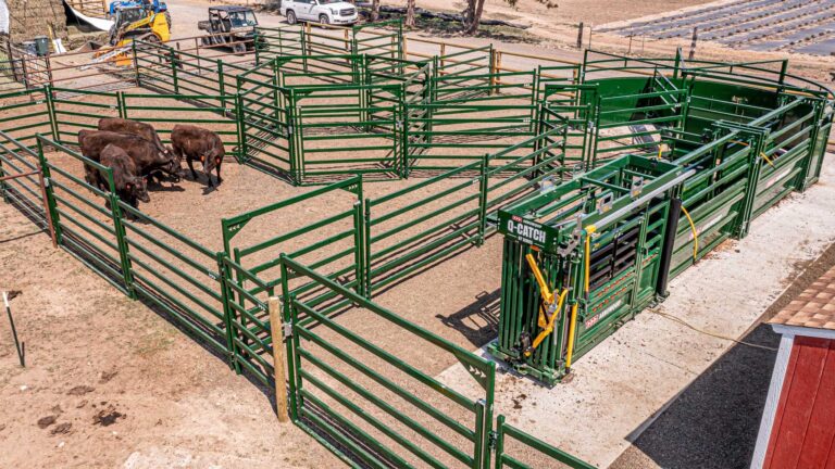 Cattle Handling Design System