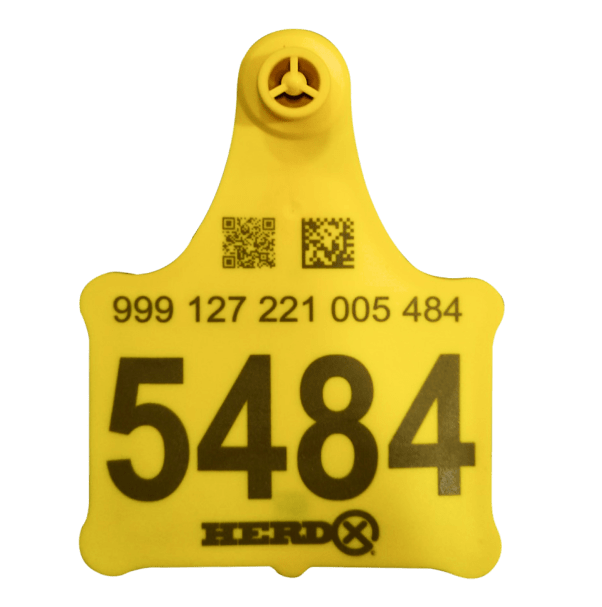 RFID cattle identification tag