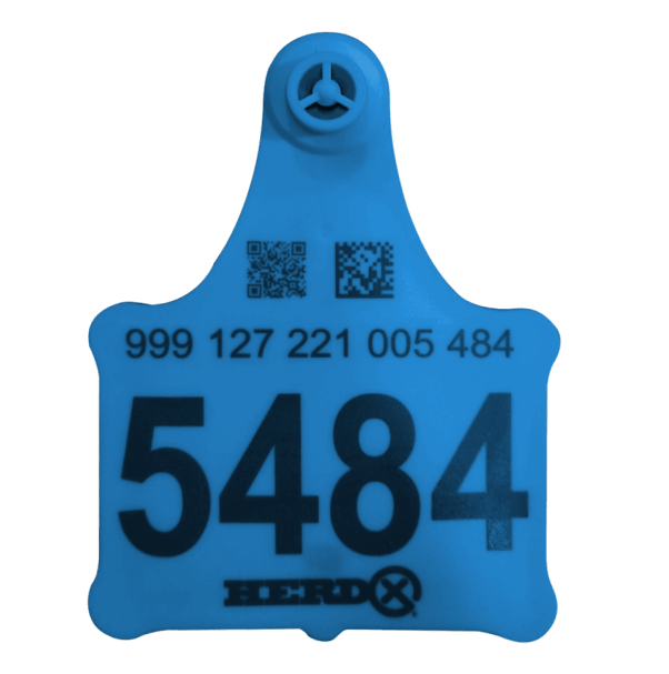 RFID cattle tag